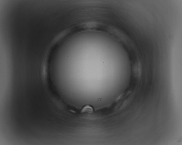 X0000101390732200807071157