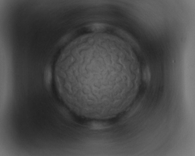 X0000101390733200807071157