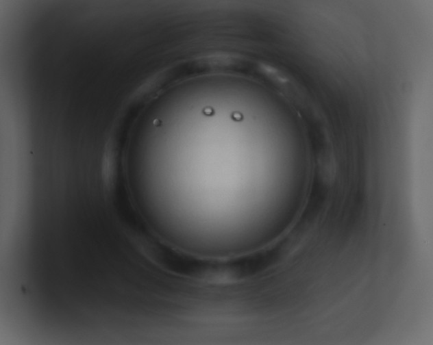 X0000101390735200807071157