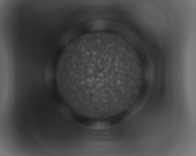 X0000101390737200807071157