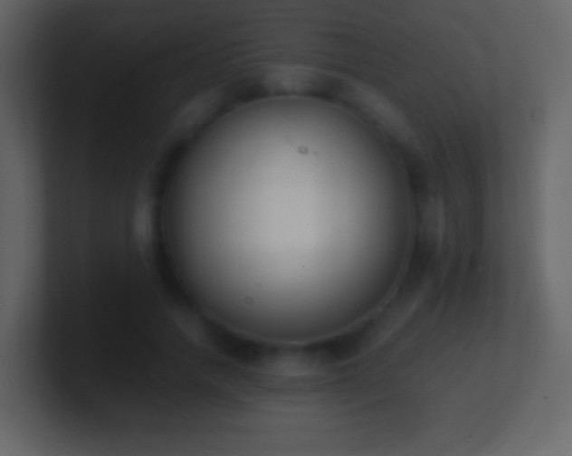 X0000101390738200807071157