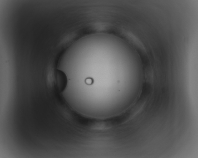 X0000101390740200807071157