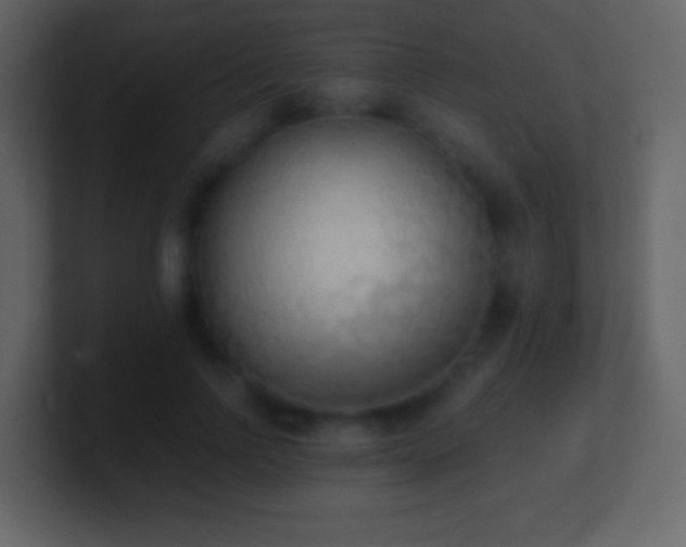 X0000101390742200807071157