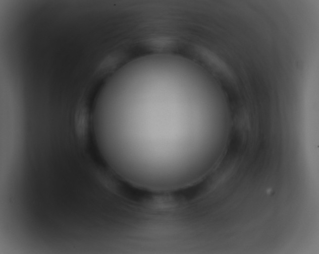 X0000101390744200807071157