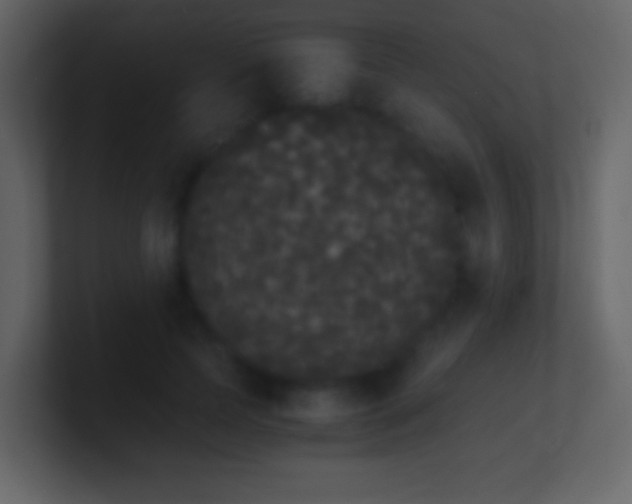 X0000101390745200807071157