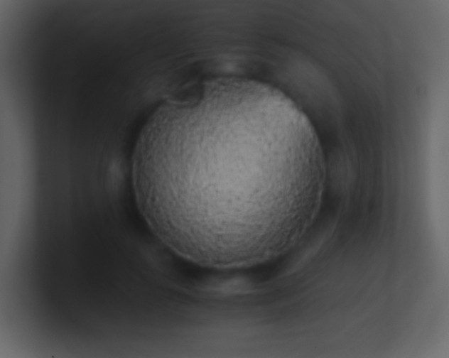 X0000101390747200807071157