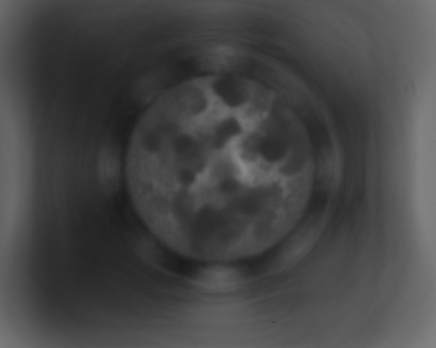 X0000101390749200807071157