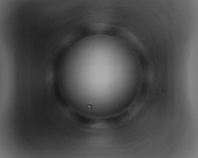 X0000101390750200807071157