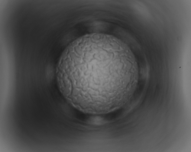 X0000101390753200807071157