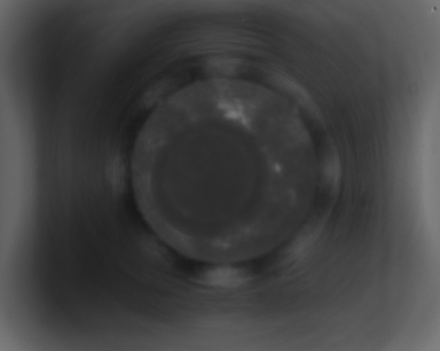 X0000101390759200807071157