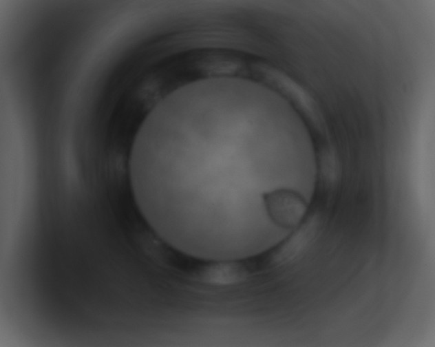 X0000101390761200807071157