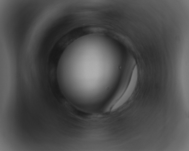 X0000101390762200807071157