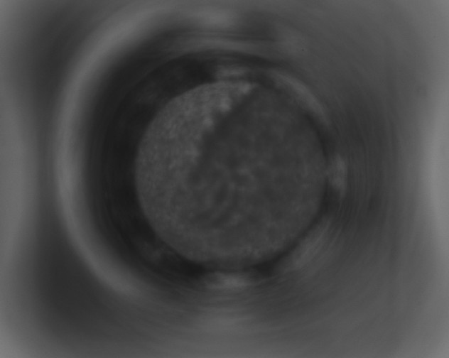 X0000101390763200807071157