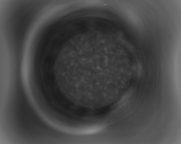 X0000101390765200807071157