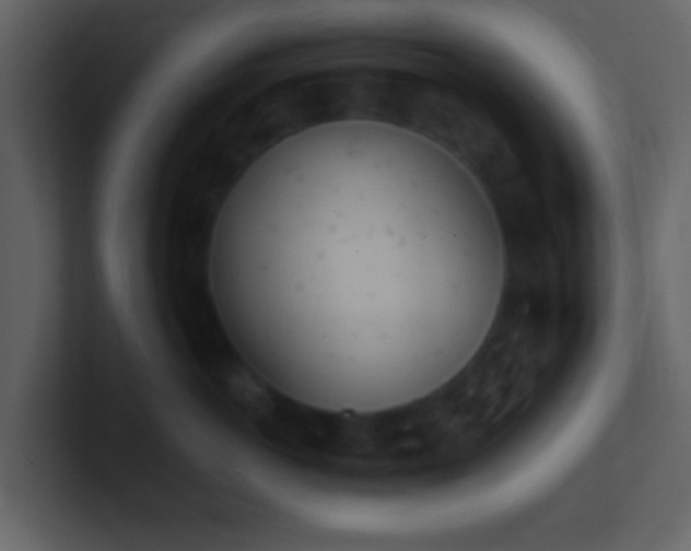 X0000101390766200807071157