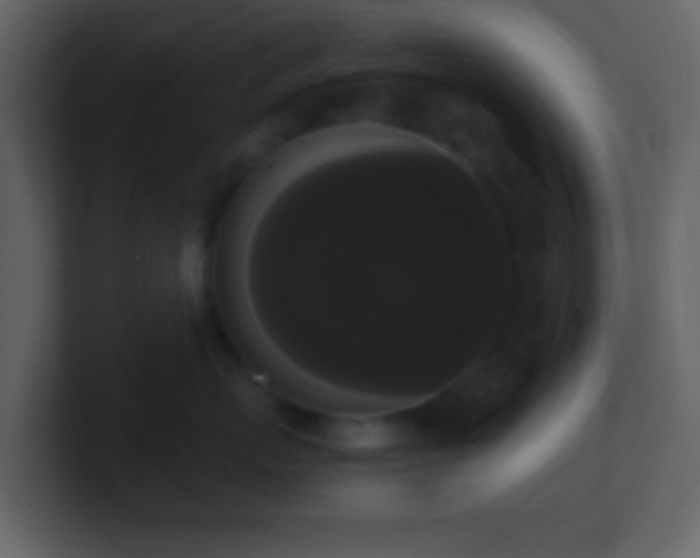 X0000101390767200807071157