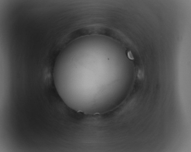 X0000101390771200807071157