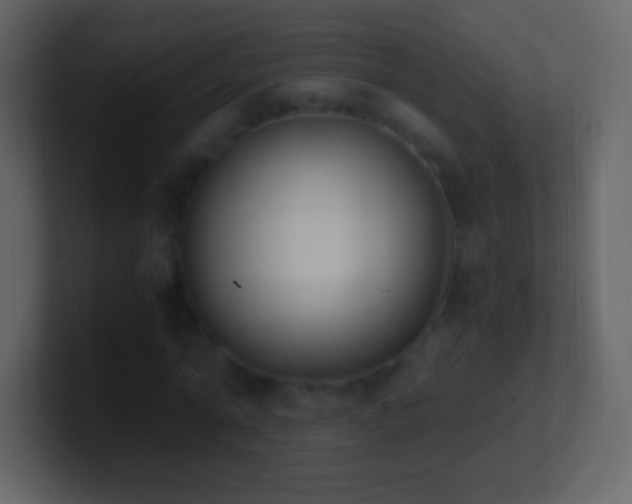 X0000101390774200807071157