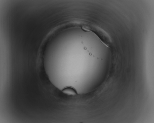 X0000101390776200807071157