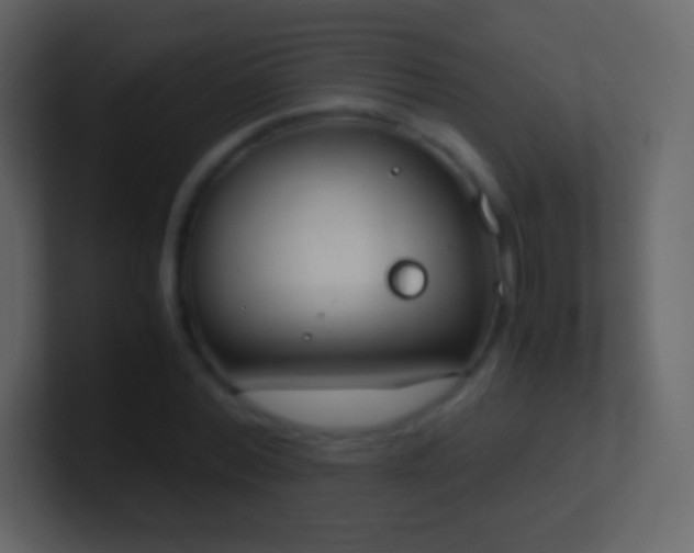 X0000101390780200807071156