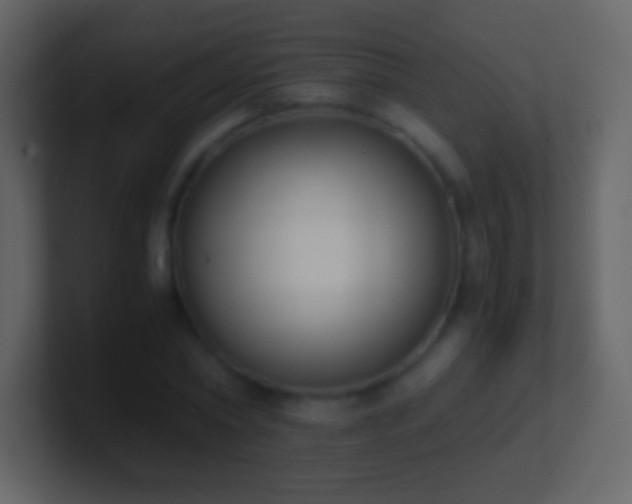 X0000101390782200807071156