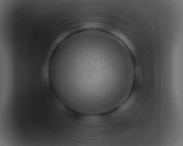 X0000101390783200807071156