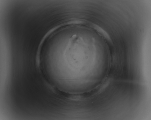 X0000101390784200807071156