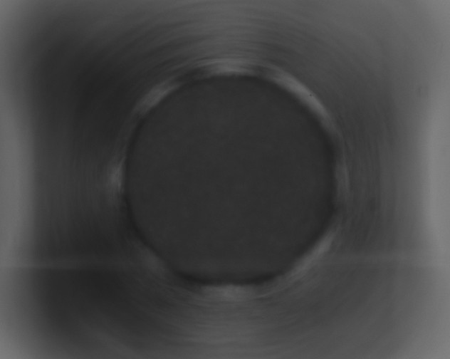 X0000101390785200807071156