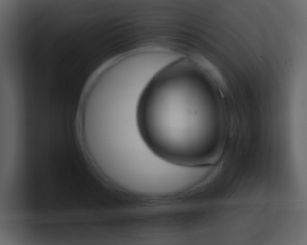 X0000101390796200807071156