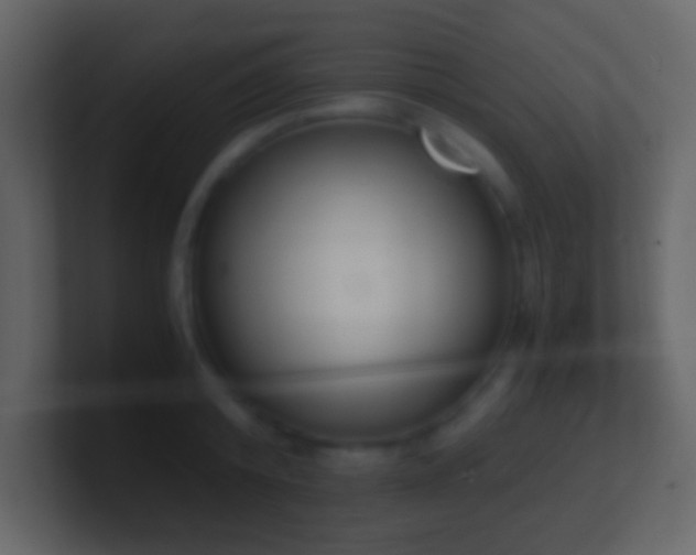 X0000101390800200807071156