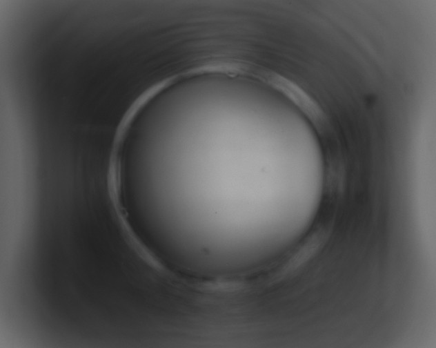 X0000101390804200807071156