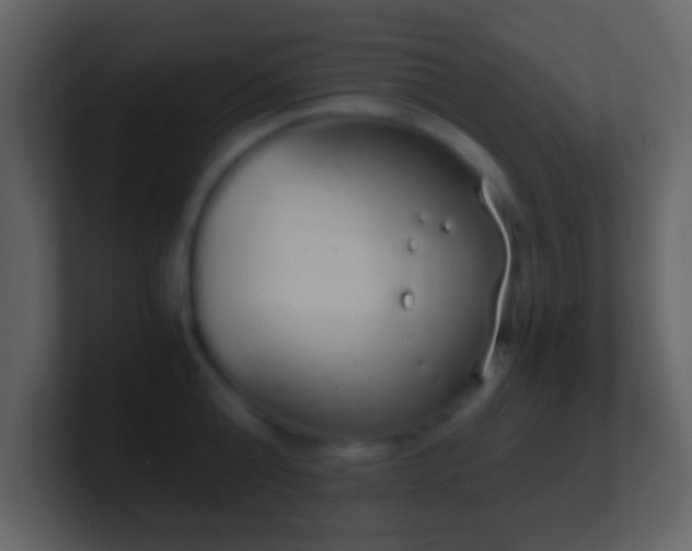 X0000101390808200807071156