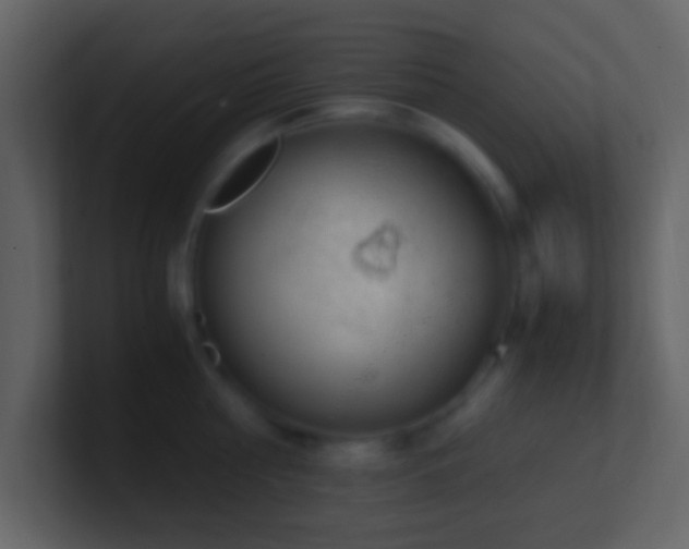 X0000101390810200807071156