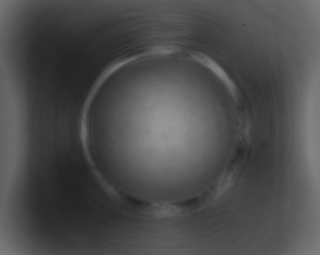 X0000101390811200807071156