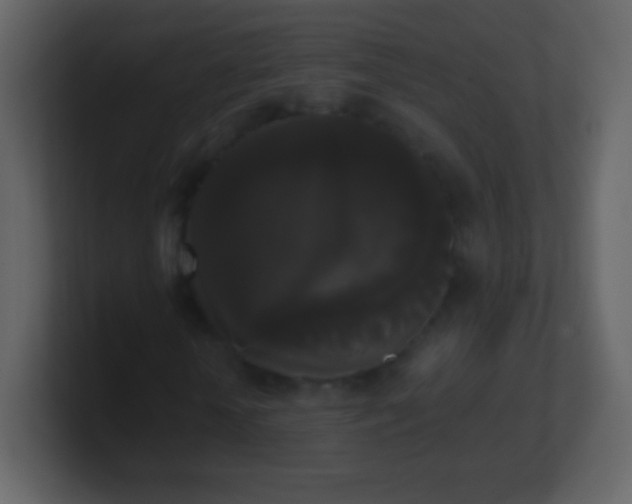 X0000101390818200807071155