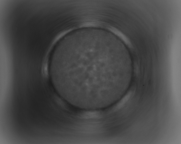 X0000101390830200807071156