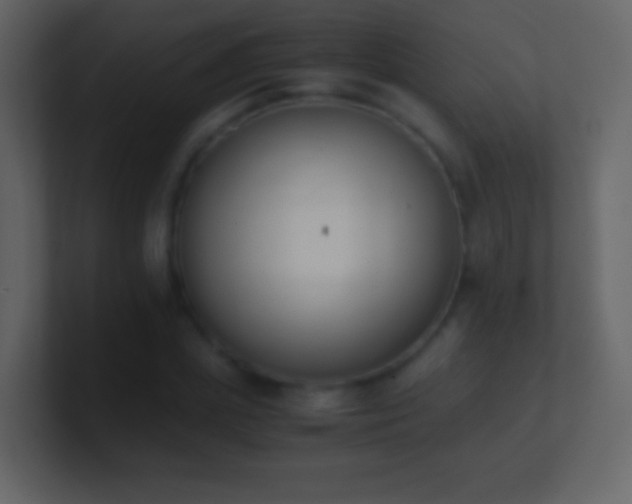 X0000101390831200807071156