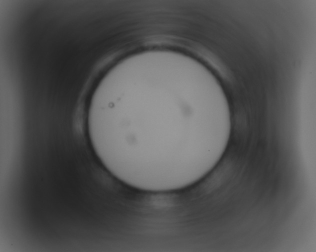 X0000101390832200807071156