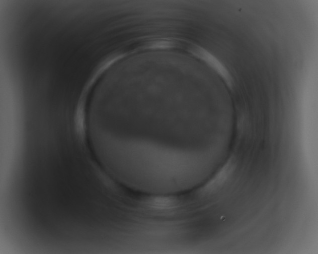 X0000101390835200807071156