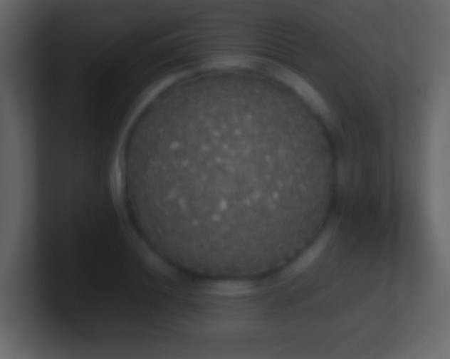 X0000101390844200807071156