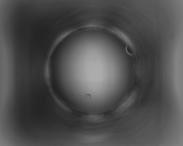 X0000101390847200807071156