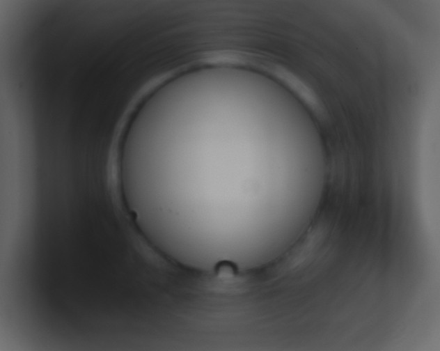 X0000101390848200807071156