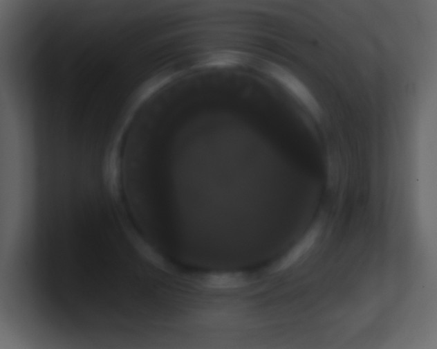 X0000101390850200807071156