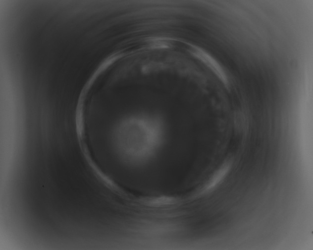 X0000101390851200807071156
