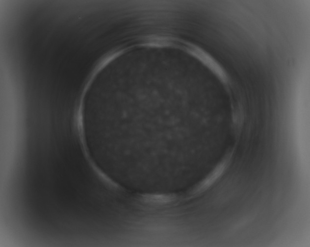 X0000101390855200807071156