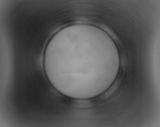 X0000101390856200807071156