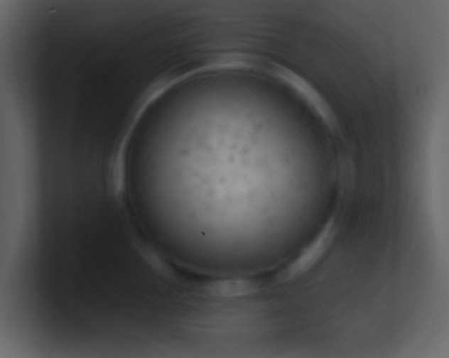 X0000101390858200807071156