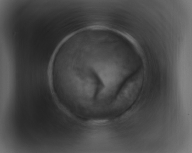 X0000101390864200807071156