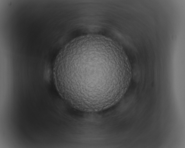 X0000101390866200807071155