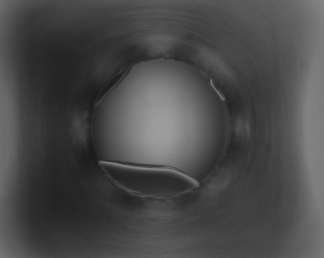 X0000101390868200807071155